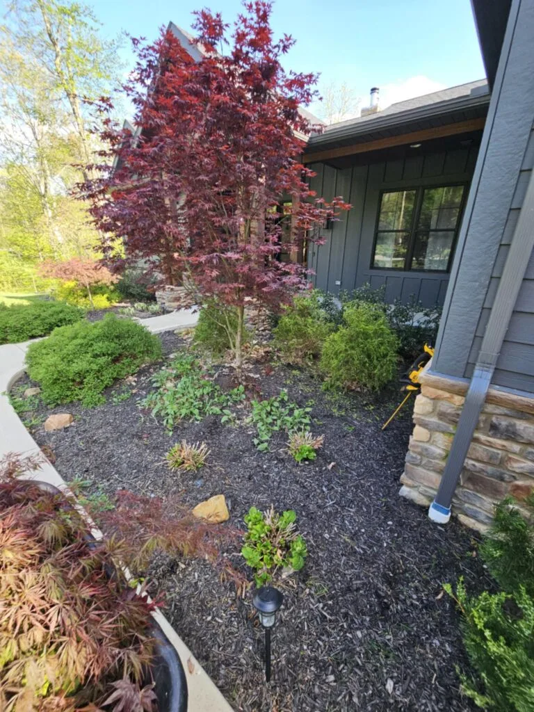 landscaping