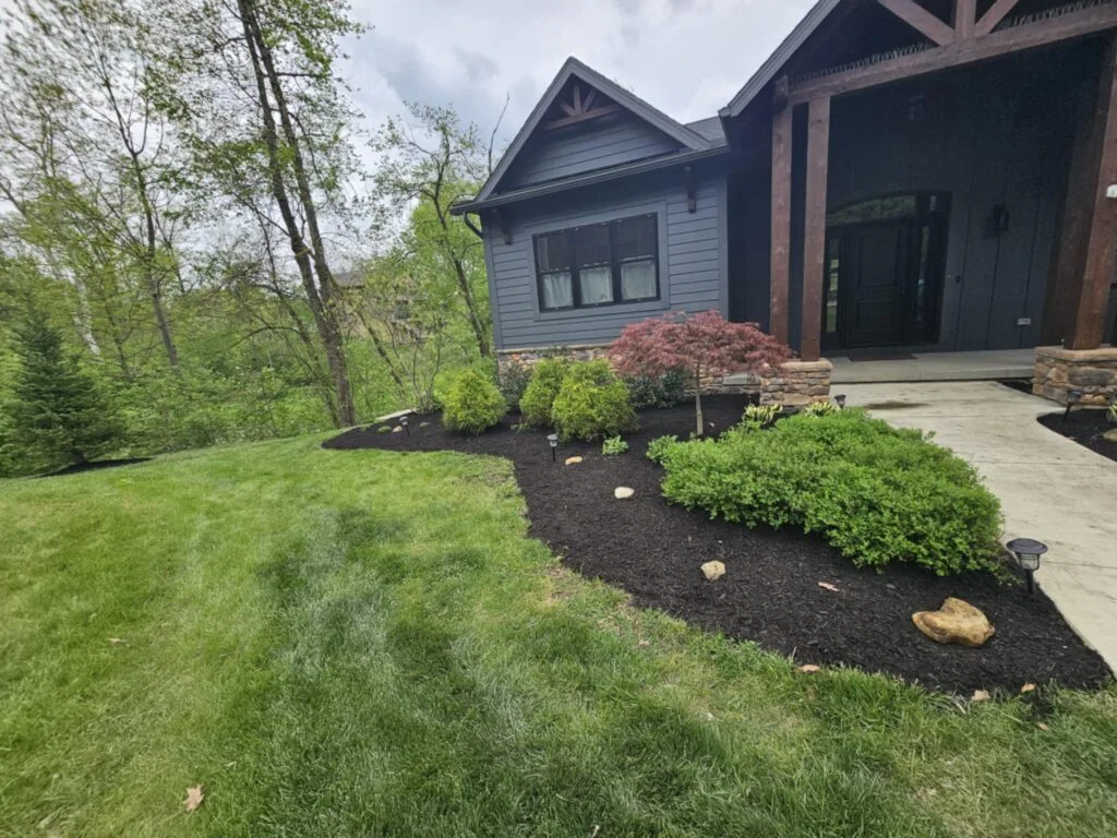landscaping