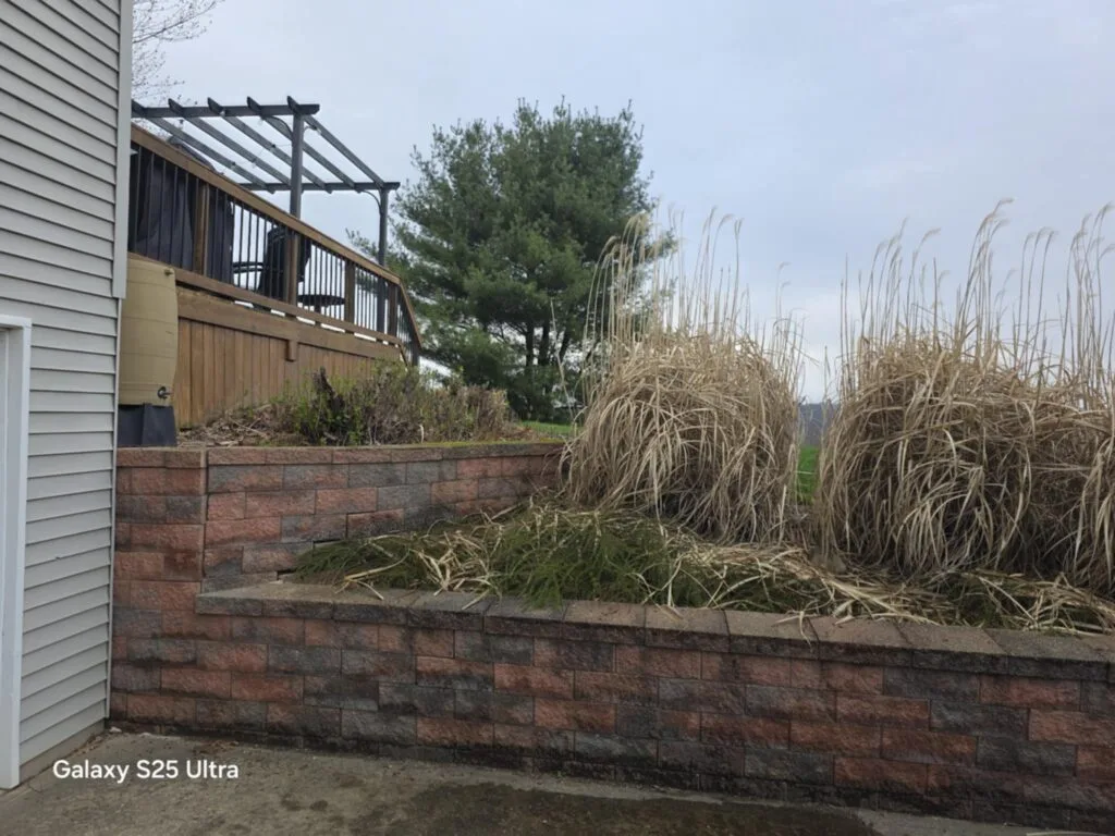 before landscaping
